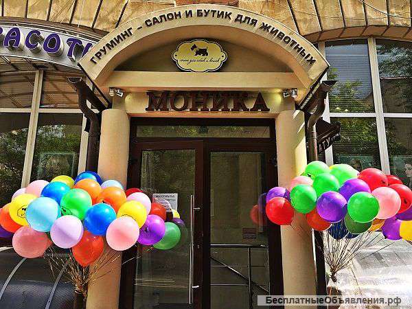 Груминг-салон Бутик для собак и кошек "Monica"