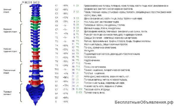 Тестирование на уровень здоровья