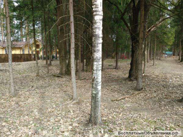 Участок в Звенигороде