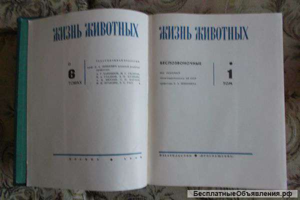Разные увлекательные энциклопедии, квесты и учебные пособия