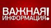 Требуется партнер по бизнесу