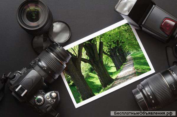 Курсы обучения фотографии