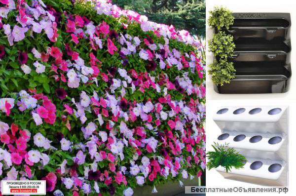 Вертикальные клумбы. Модульная система BOXSAND.