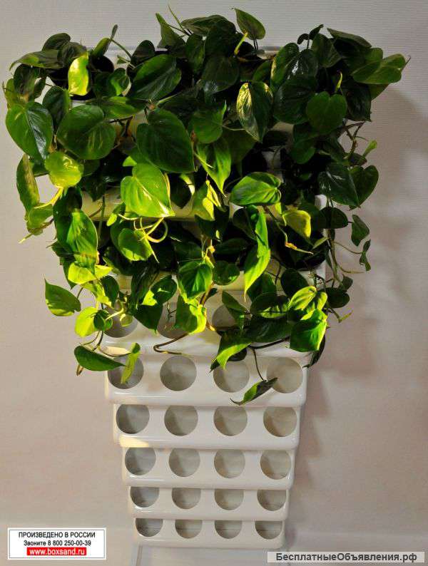 Фитостена. Модуль 60х60 см. Модульная система BOXSAND.