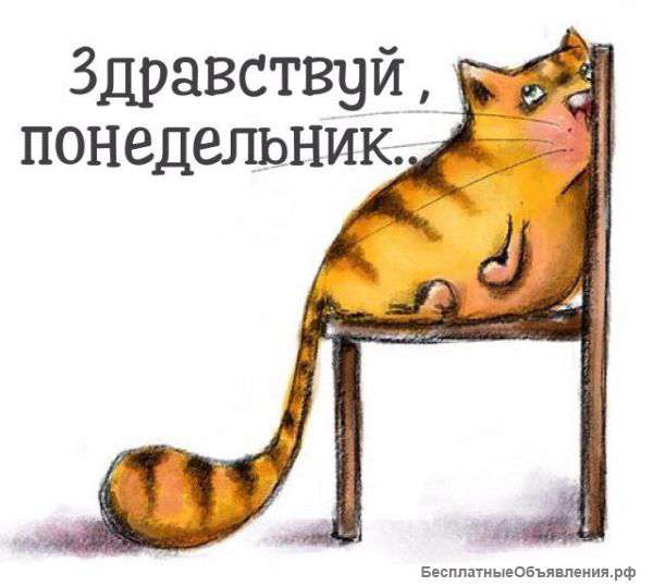 Поклейка разных видов пленки