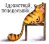 Поклейка разных видов пленки