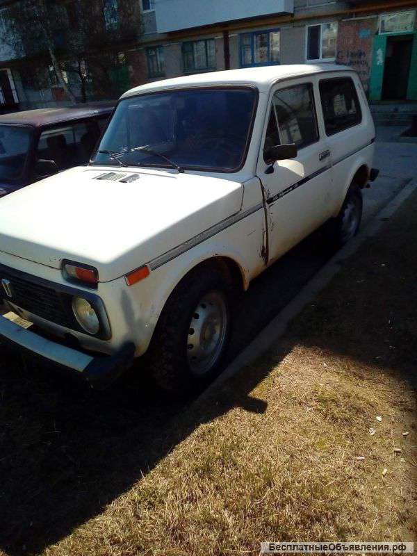 Нива