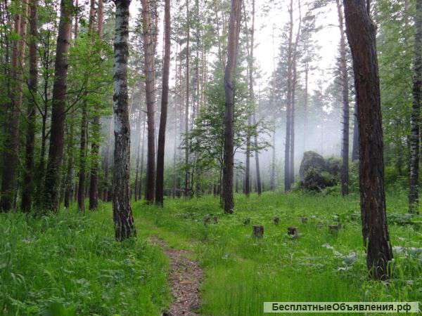 Земельный участок под турбазу
