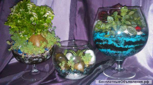 Цветочные композиции