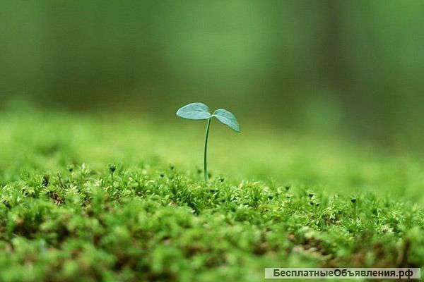 Грунта по Москве и Московской области