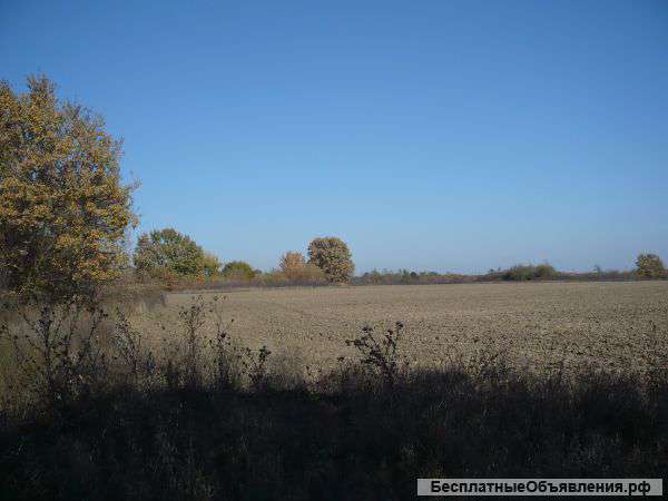 Выгодное приобретение