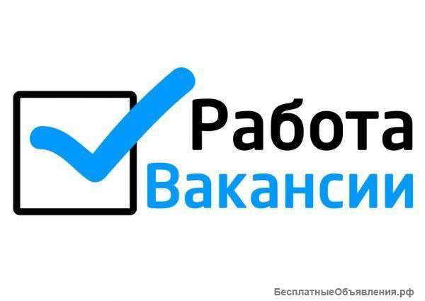 Менеджер в отдел кадров
