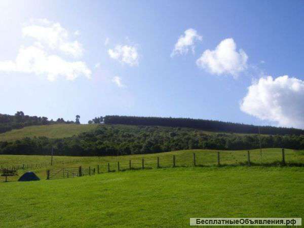 Земля С/Х назначения в Арском р-не