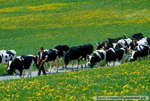 С/Х земля в Высокогорском р-не