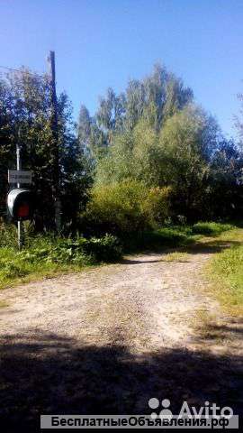 12 соток