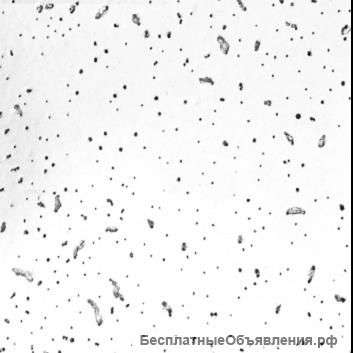 Армстронг подвесной потолок (Россия)