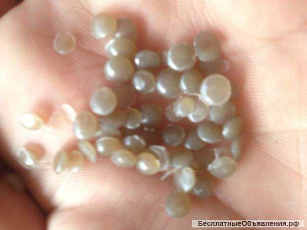 Пвд гранула вторичная пленочная