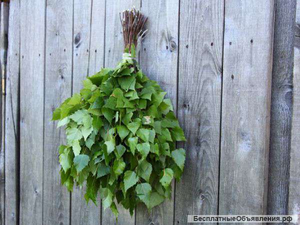 Берёзовые веники