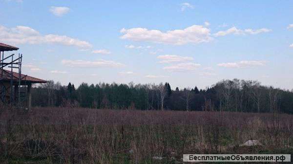 Недвижимость