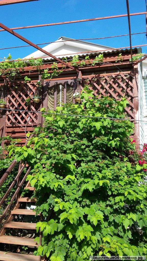 Дом 200 м² на участке 3 сот. Краснодарский край, с. Небуг