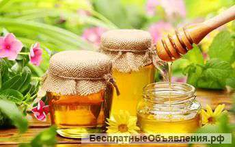 Продукты пчеловодства