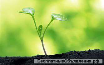 По Москве и М.О. грунта и торфа