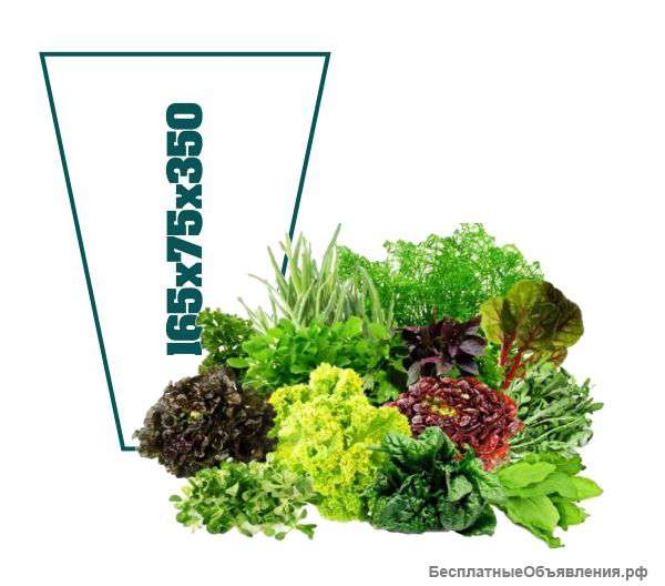 Пакеты для зелени