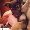 Очень нужен дом малышу Иначе улица