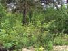 Земельный участок для ведения личного подсобного хозяйства