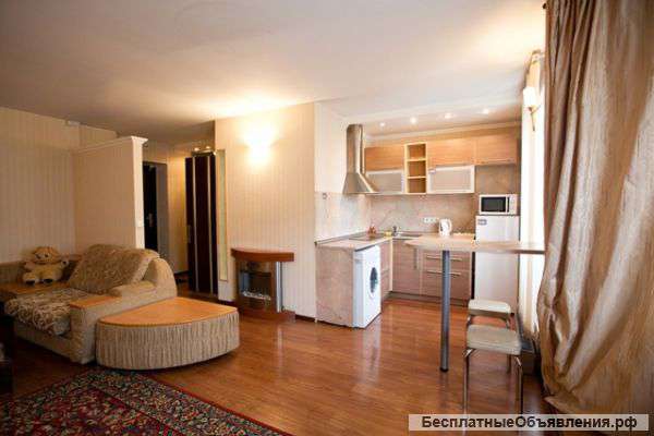 Однокомнатная квартира, на длительный срок