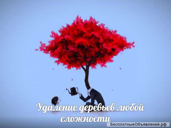 Спил деревье, озеленение территории