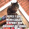 Очень нужен дом малышу