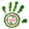 Kanada green