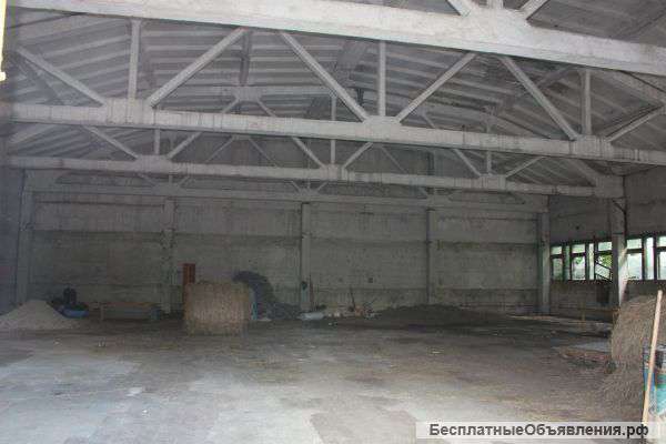 Цех в пос. Мурмино