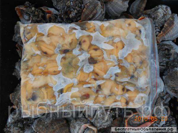 Мясо моллюска рапана свежемороженое оптом в Крыму