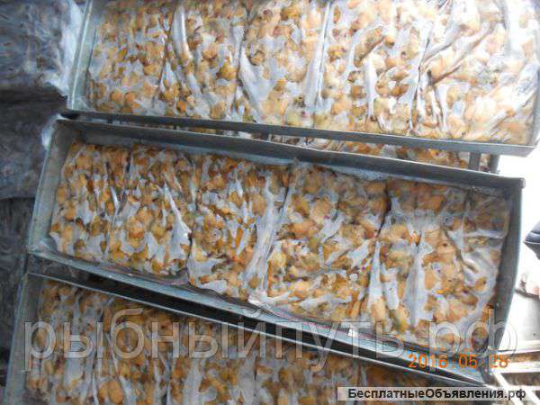 Мясо моллюска рапана свежемороженое оптом в Крыму