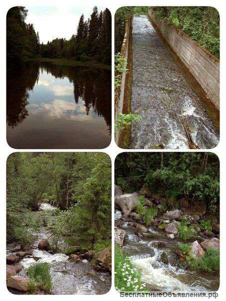 Дом с участком