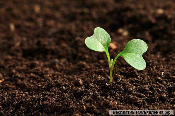 Оптовая продажа растительных удобрений