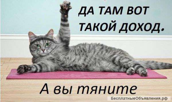 Система "Лучшие из лучших"