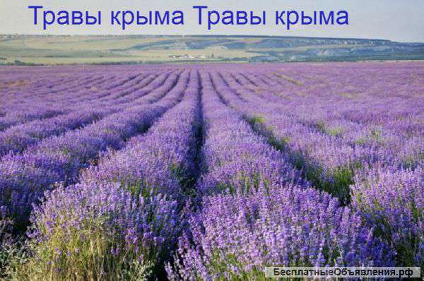 Травы крыма