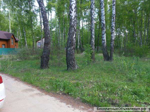 Участок 25 соток в городе Чехов