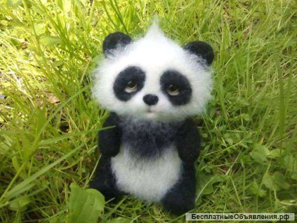 Милый панденыш ищет дом