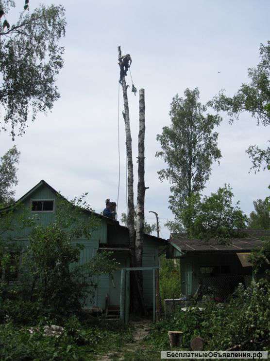 Профессиональная расчистка участков от деревьев и кустарника. Копка траншей.