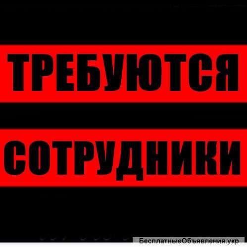 Руководство подчинёнными в предприятии