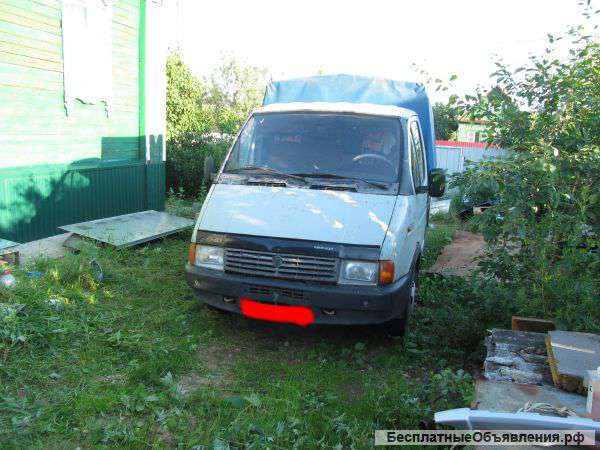 Газель