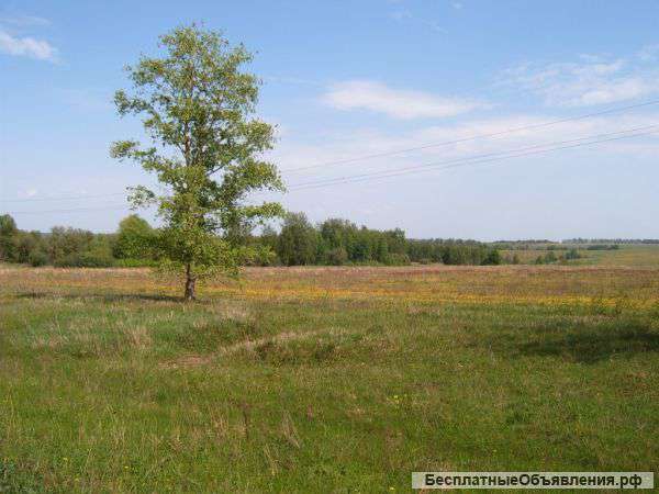 Участок 10 соток в эко-поселке Васильково