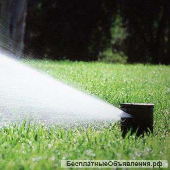 Автоматический полив