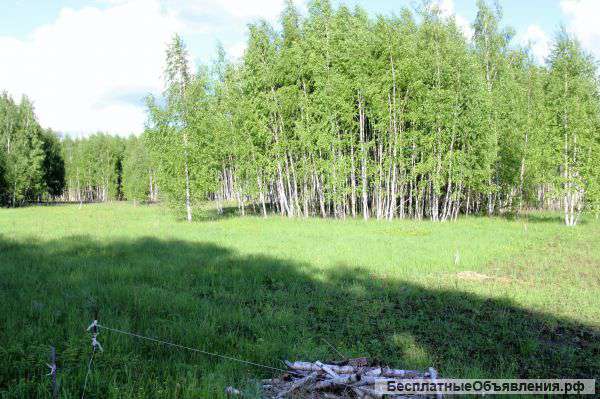 Участок 10 сот. в СНТ Тетерево
