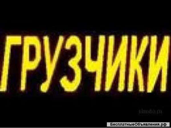 Грузчики