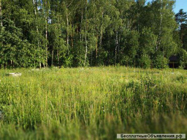 Участок 10.5 сот. в СНП Травушкино